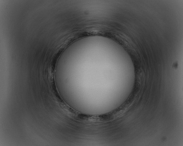 X0000091660420200708230955