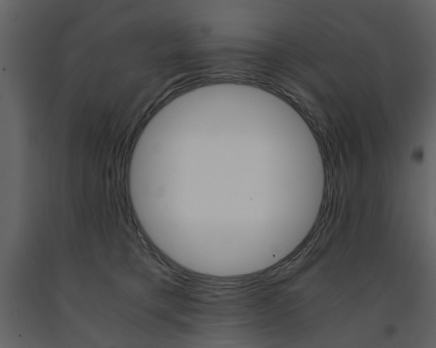 X0000091660421200708230955