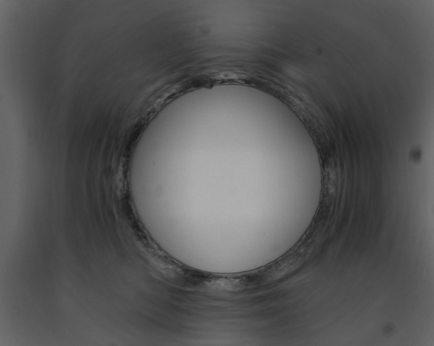 X0000091660422200708230955