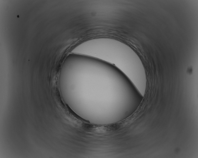 X0000091660423200708230955