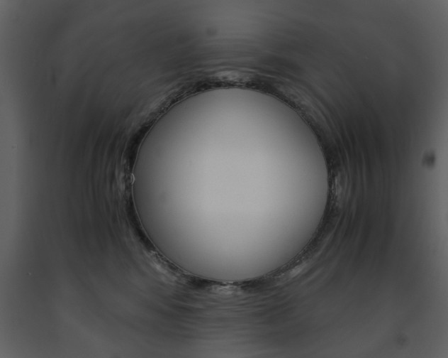 X0000091660424200708230955