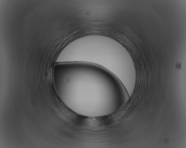 X0000091660425200708230955