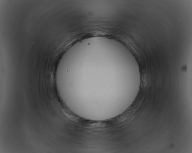 X0000091660426200708230955