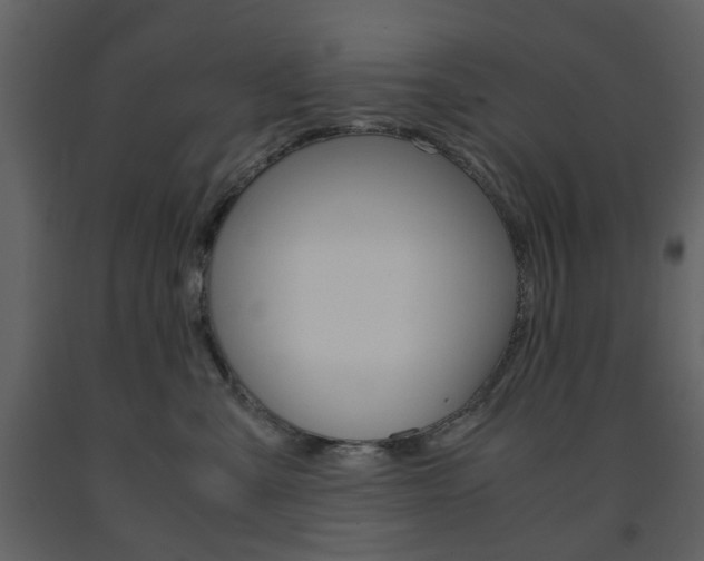 X0000091660427200708230955