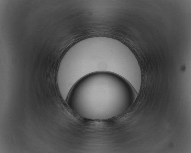 X0000091660428200708230955