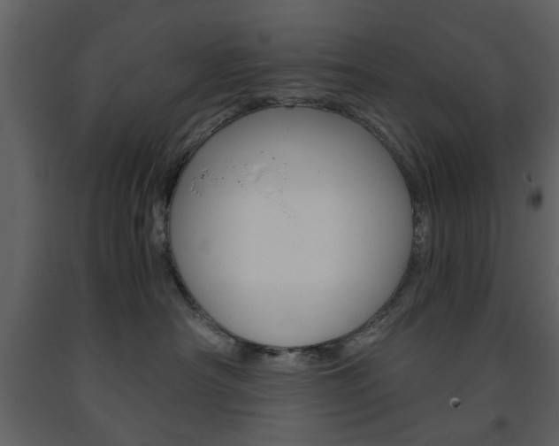 X0000091660430200708230955