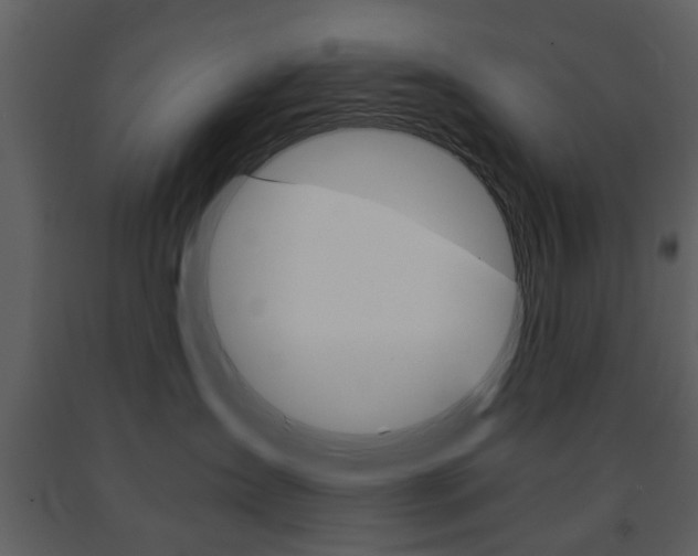 X0000091660431200708230955