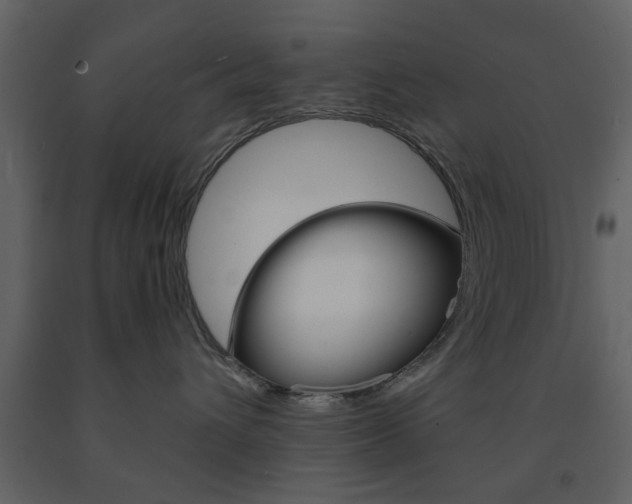X0000091660432200708230955