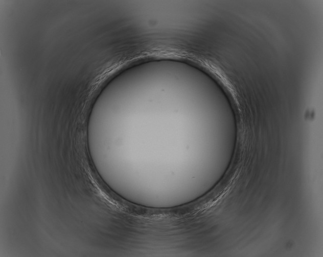 X0000091660433200708230954