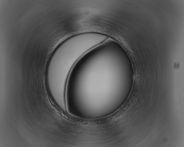X0000091660434200708230954