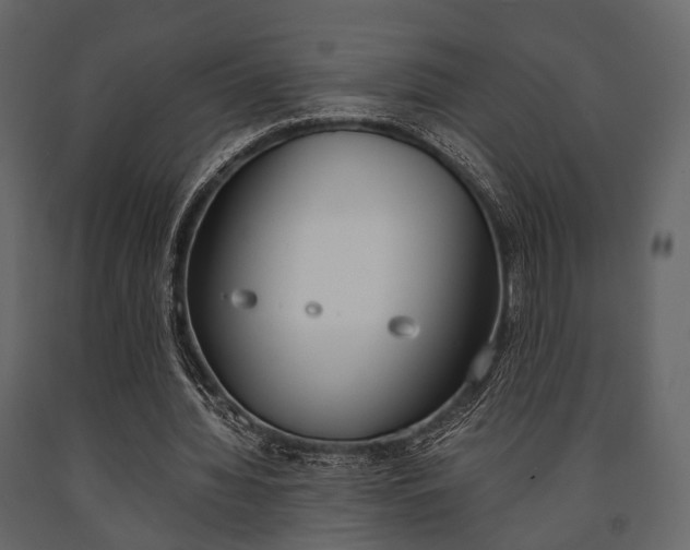X0000091660436200708230954