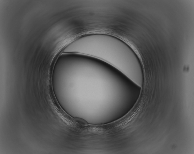 X0000091660437200708230954