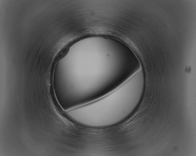 X0000091660438200708230954
