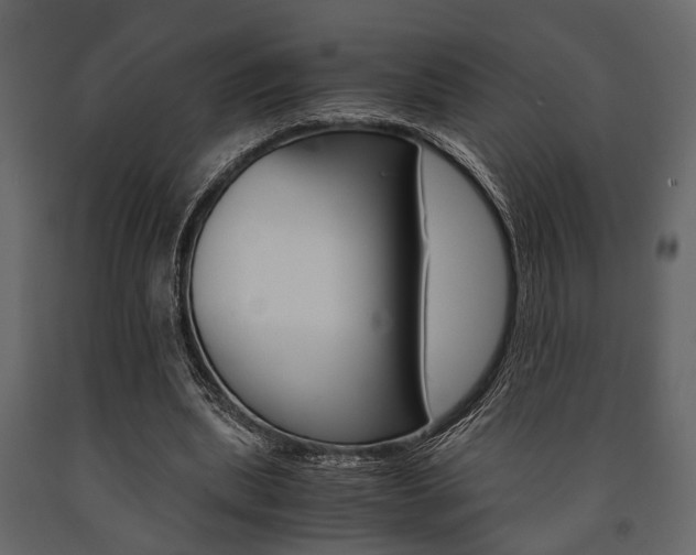 X0000091660439200708230954
