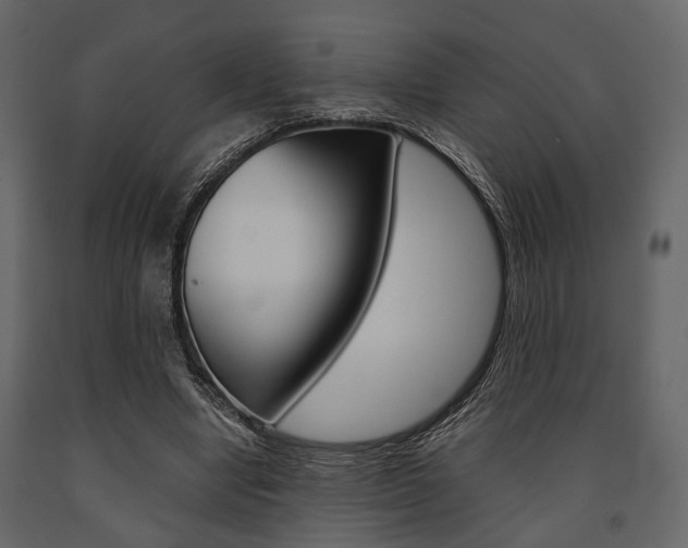 X0000091660442200708230954