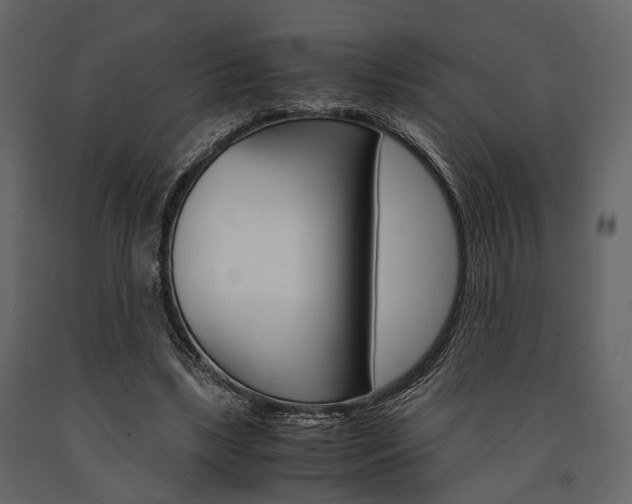 X0000091660443200708230954
