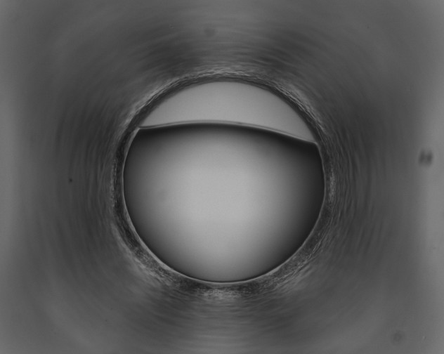X0000091660444200708230954