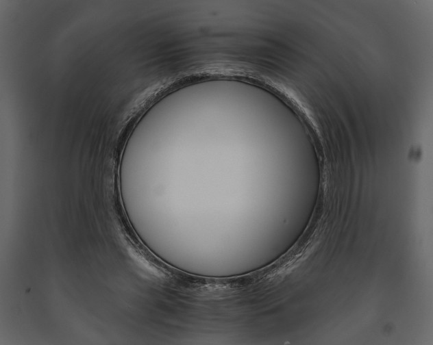 X0000091660445200708230954