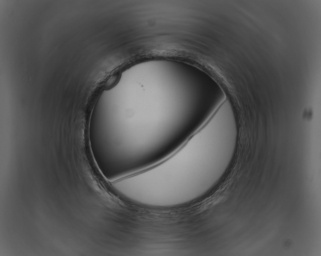 X0000091660446200708230954