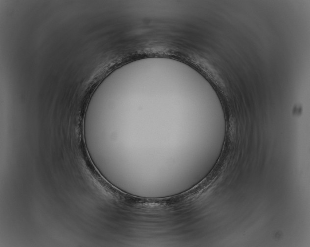 X0000091660449200708230954