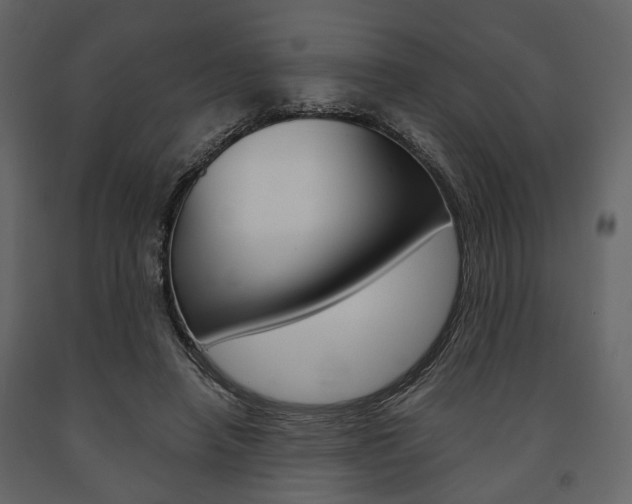 X0000091660450200708230954