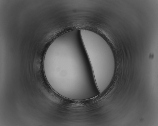 X0000091660451200708230954