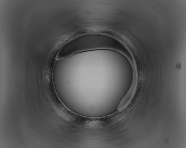 X0000091660452200708230954