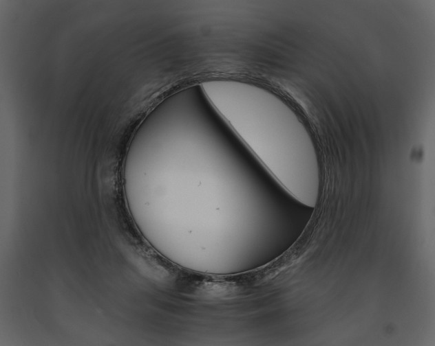 X0000091660455200708230954