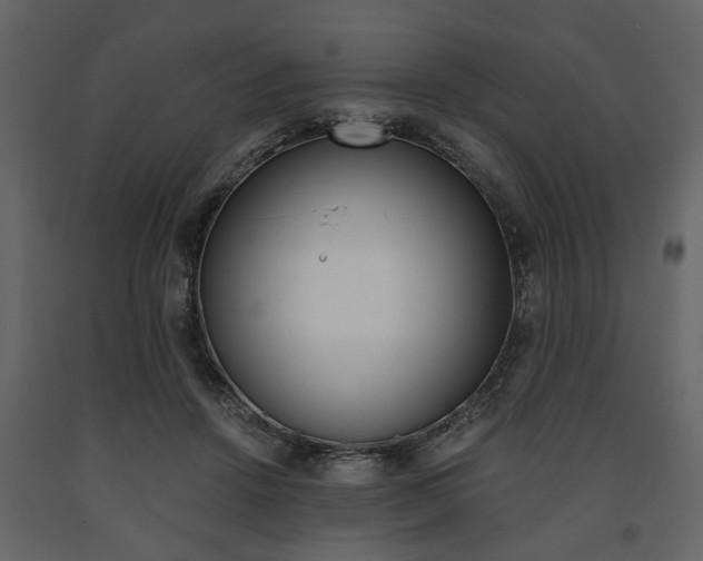 X0000091660456200708230954