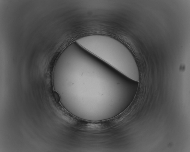 X0000091660457200708230954
