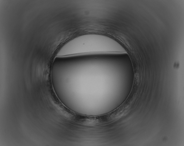 X0000091660458200708230954