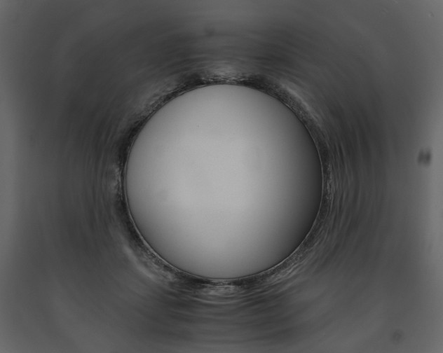 X0000091660459200708230954