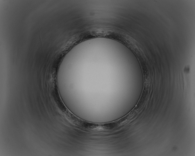X0000091660460200708230954