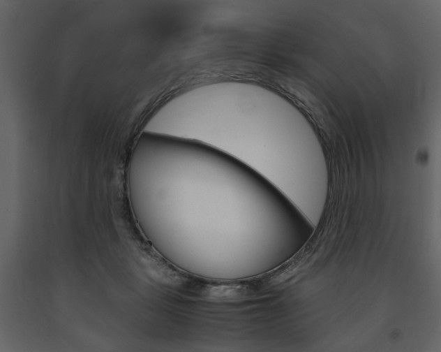 X0000091660461200708230954