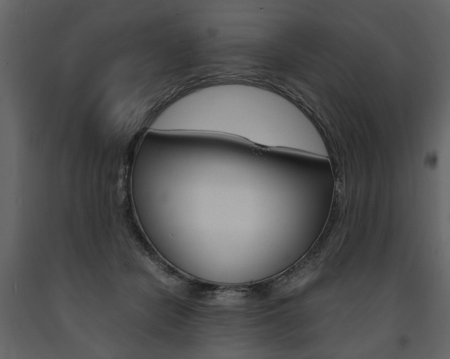 X0000091660462200708230954