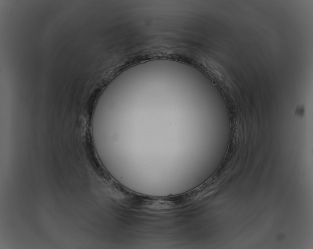 X0000091660463200708230954