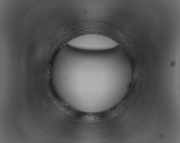 X0000091660464200708230955