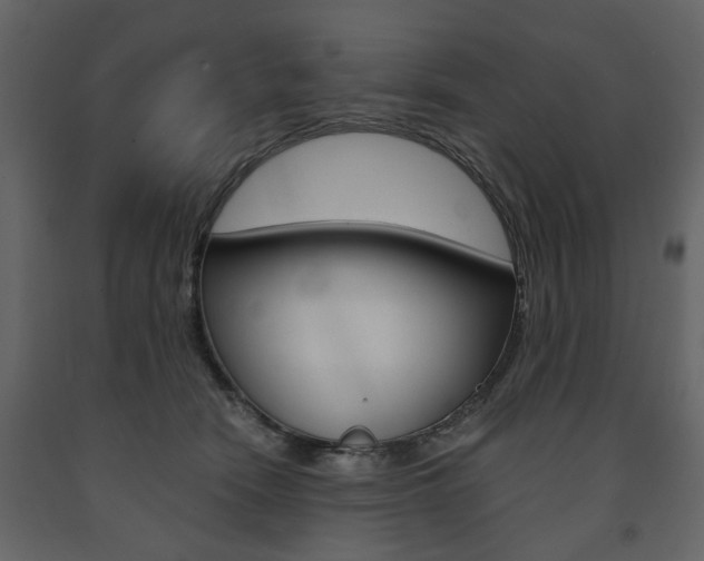 X0000091660466200708230955