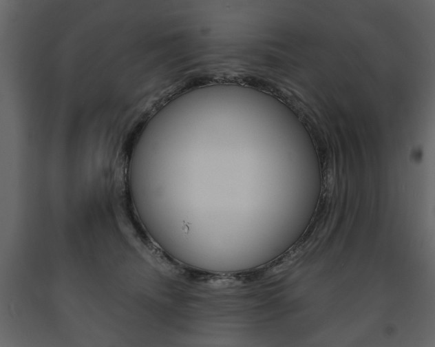 X0000091660468200708230955