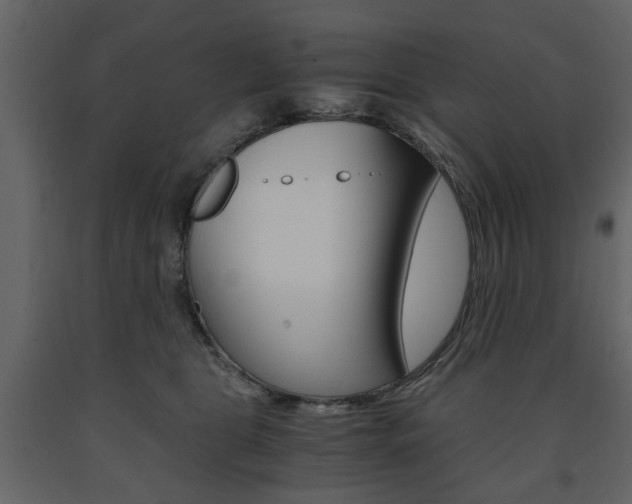X0000091660469200708230955