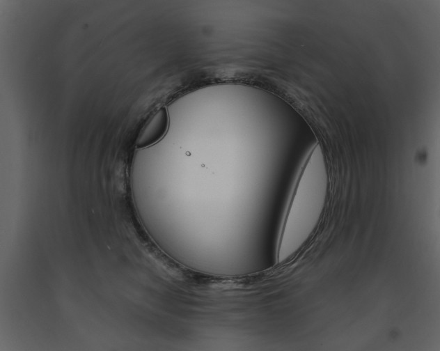 X0000091660470200708230955