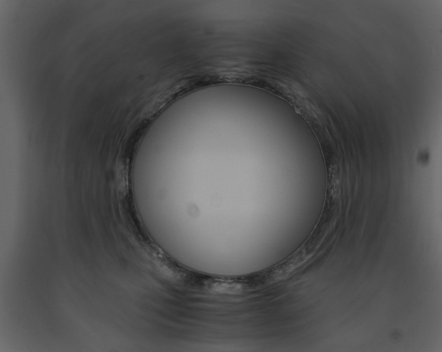 X0000091660471200708230955