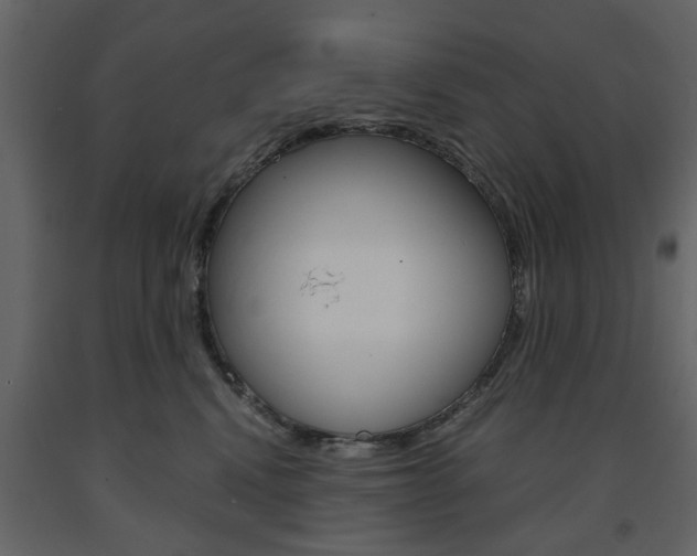 X0000091660472200708230955