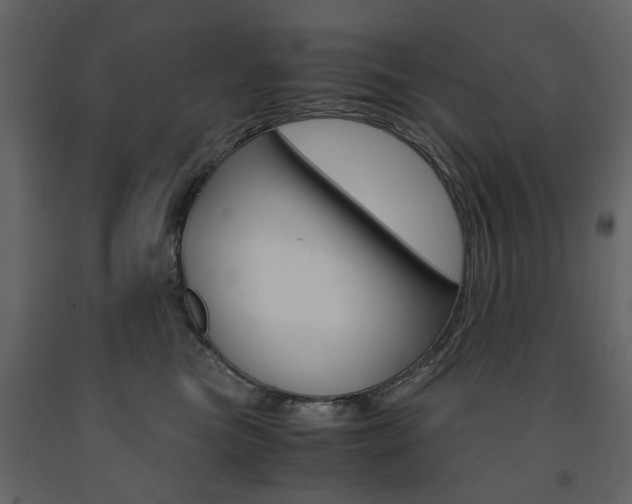 X0000091660473200708230955