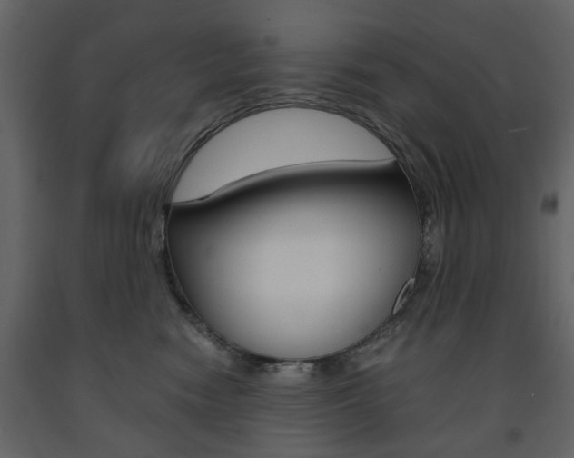 X0000091660474200708230955