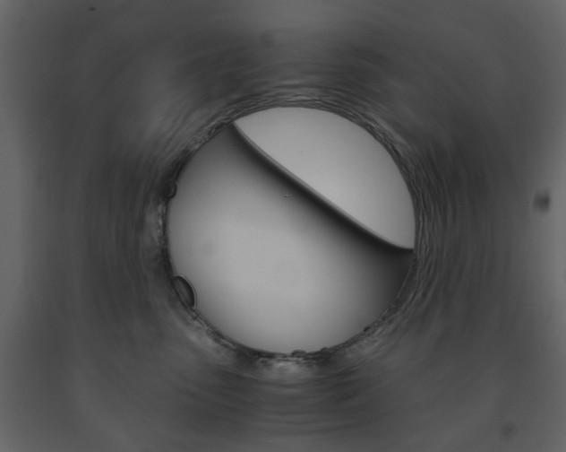 X0000091660475200708230955