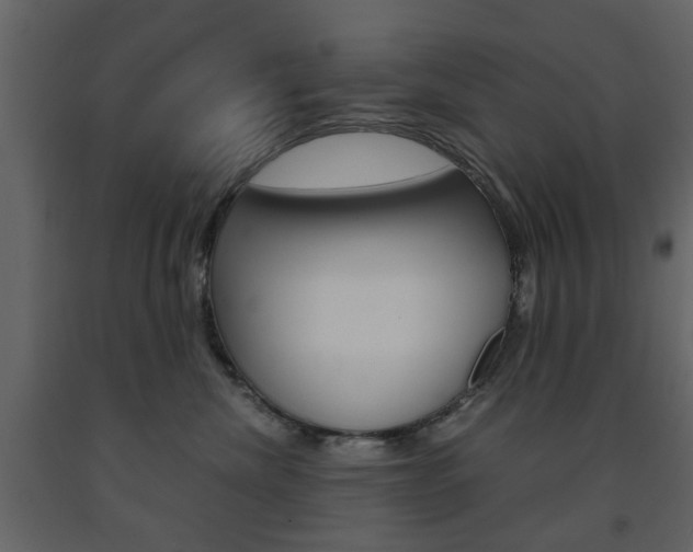 X0000091660476200708230955