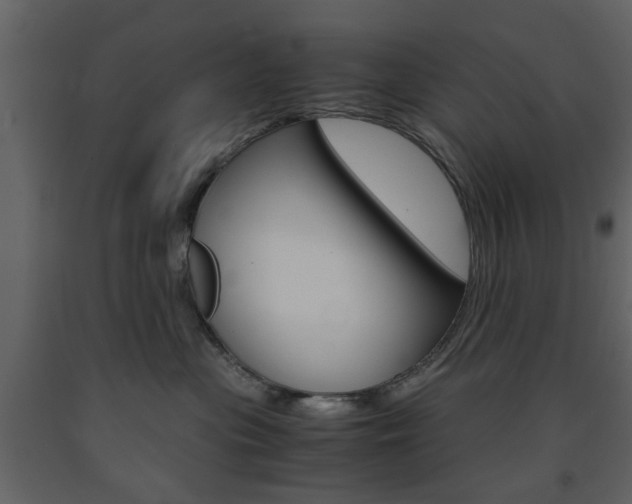 X0000091660477200708230955