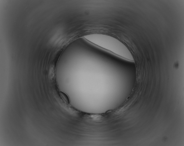 X0000091660478200708230955