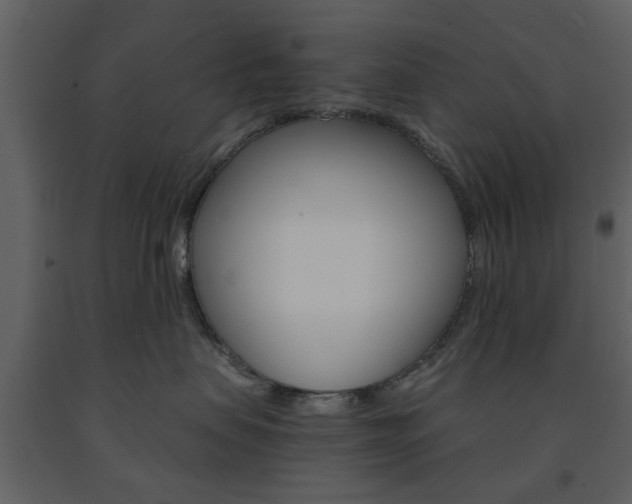 X0000091660479200708230955